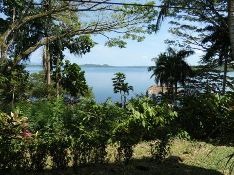 View from Green Acres Chocolate Farm